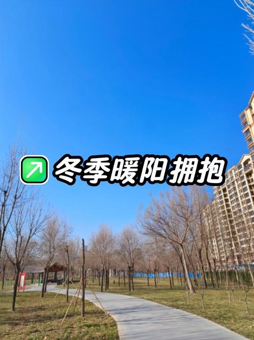 12月16日，冬日暖阳下的特殊日子插图