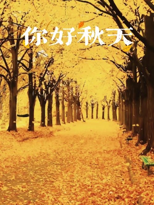 11月27日,秋意浓情的日子插图 11月27日,秋意浓情的日子插图