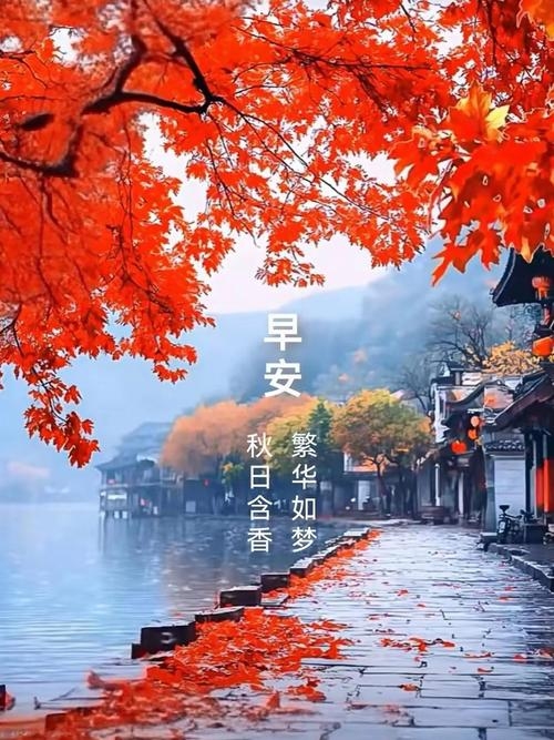 11月20日，秋意浓情的日子插图