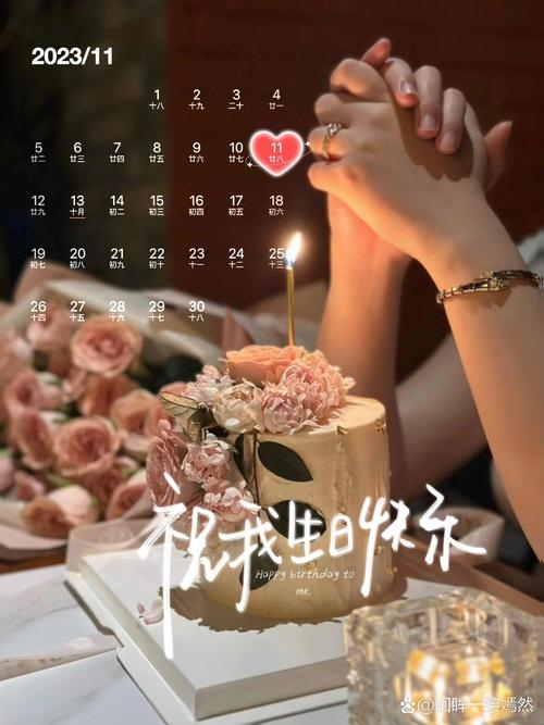 11月11日，特殊的日子插图