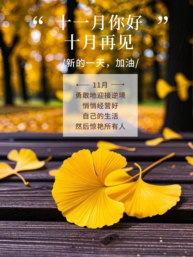 11月10日，秋意浓情的日子插图