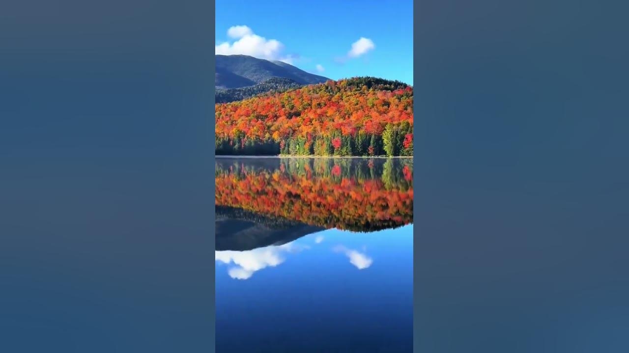 10月28日，秋意浓情的日子插图