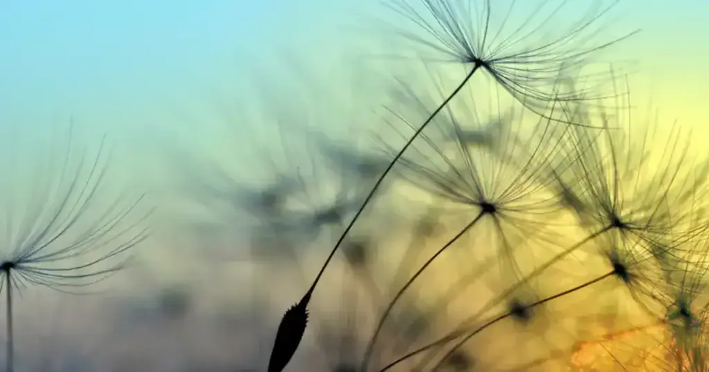 10月24日，一个特殊的日子插图