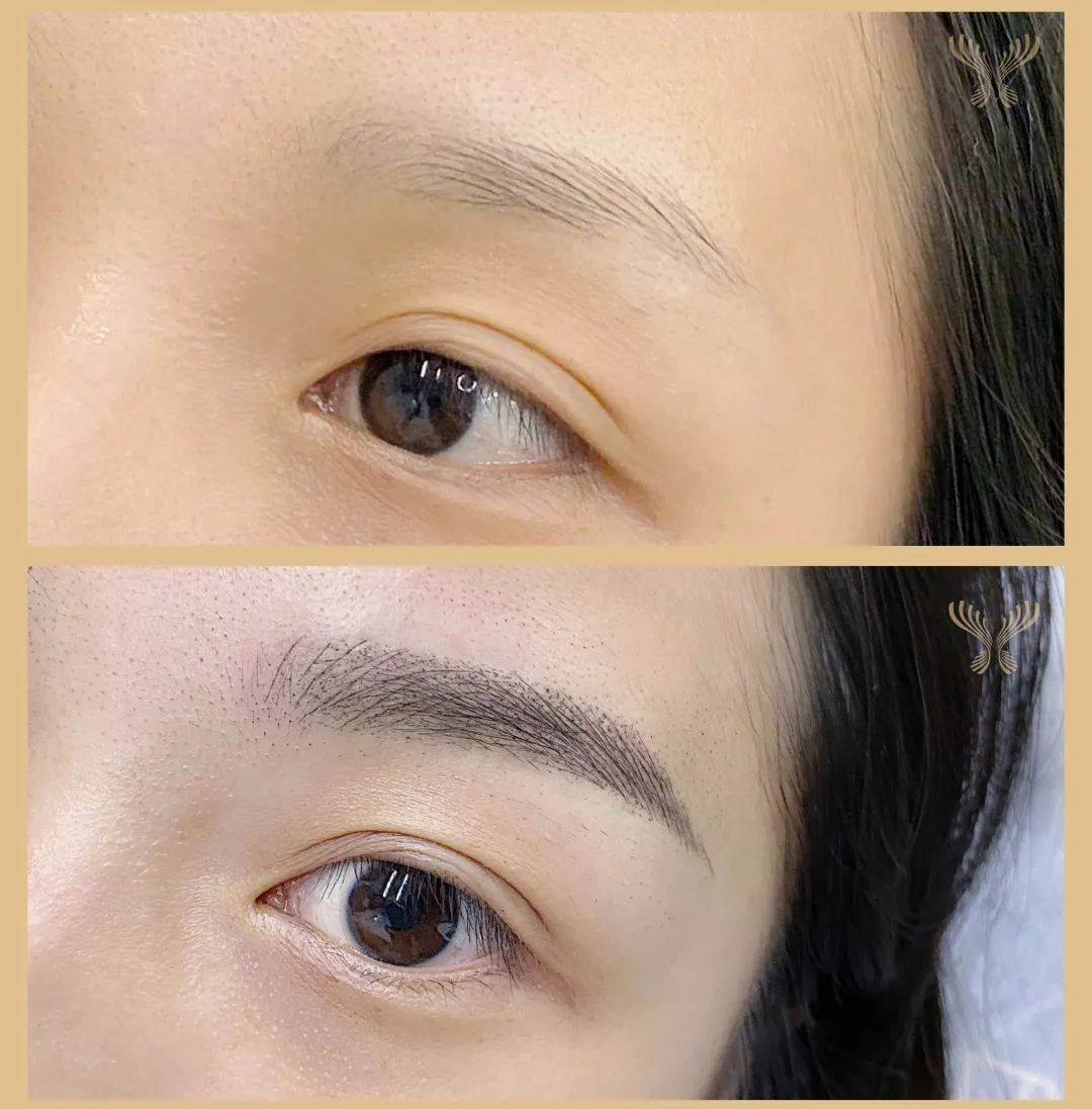 丹凤眼卧蚕眉，古典美学中的独特韵味插图