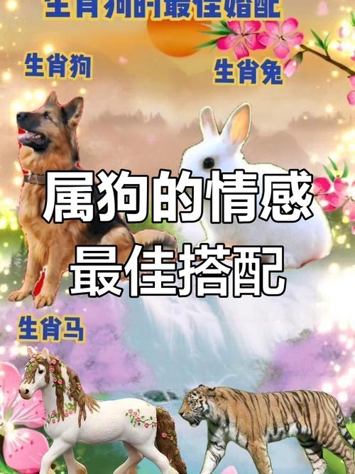 属狗与兔、马最配，家庭事业双丰收插图