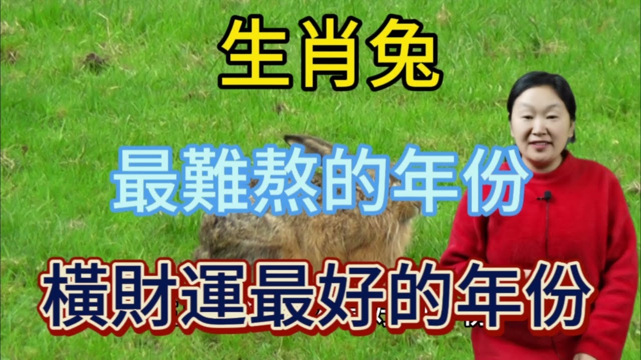 属兔最命苦出生日期揭秘插图