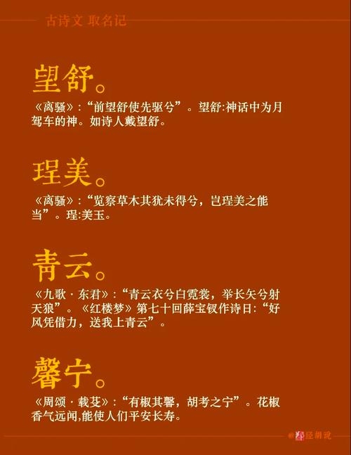 惊艳之名，那些让人过目难忘的名字背后，藏着多少故事与传奇插图
