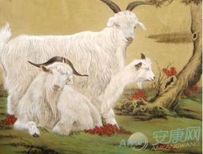 属羊最配的属相插图