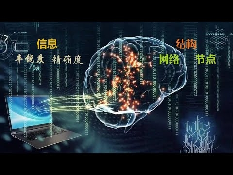 探索在线姓名评分，文化、算法与自我认同的交织插图