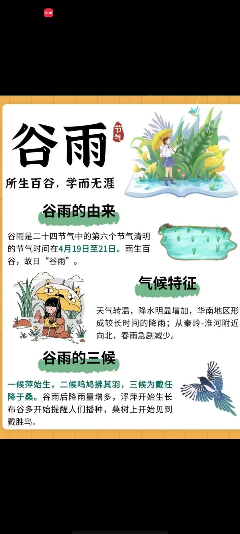 谷雨的日期及意义插图 谷雨的日期及意义插图