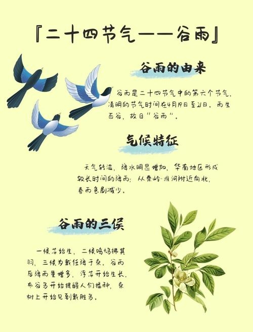 谷雨的寓意，滋润与生长插图