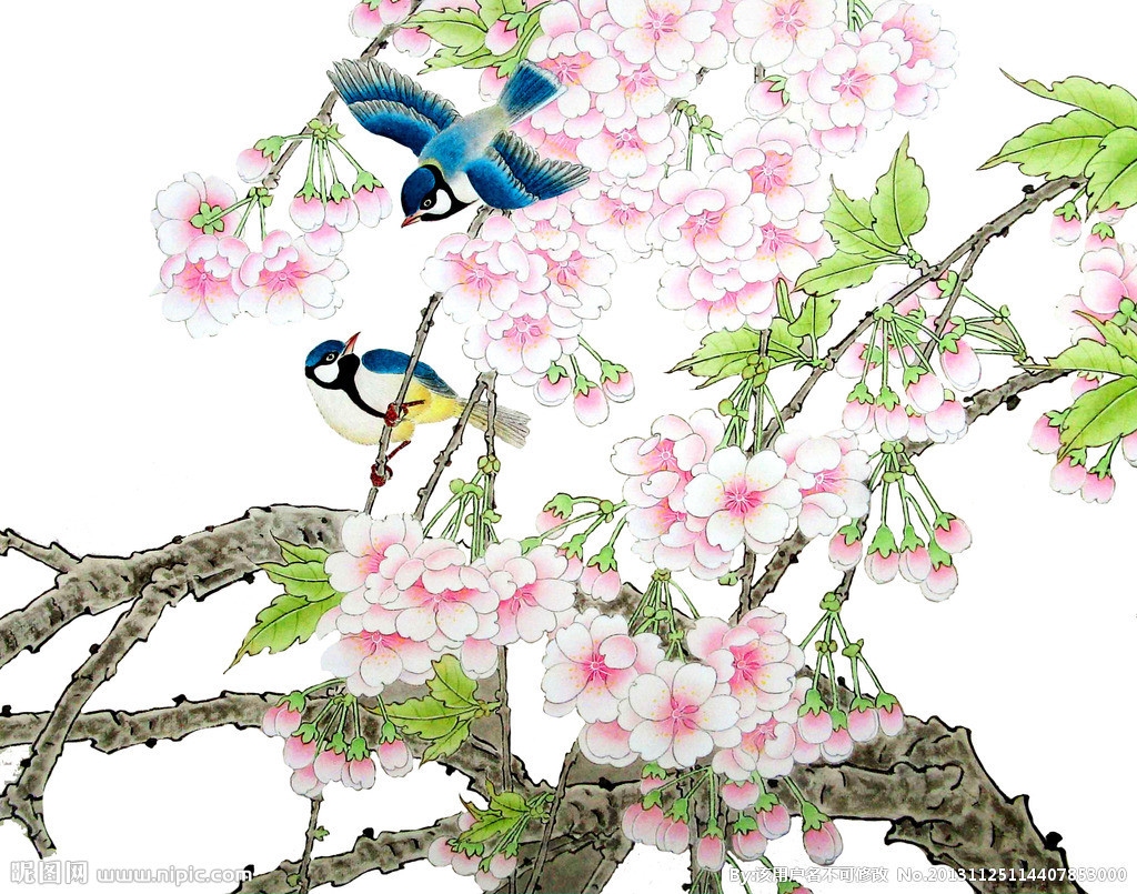 鸟语花香与生肖的奇妙交融插图