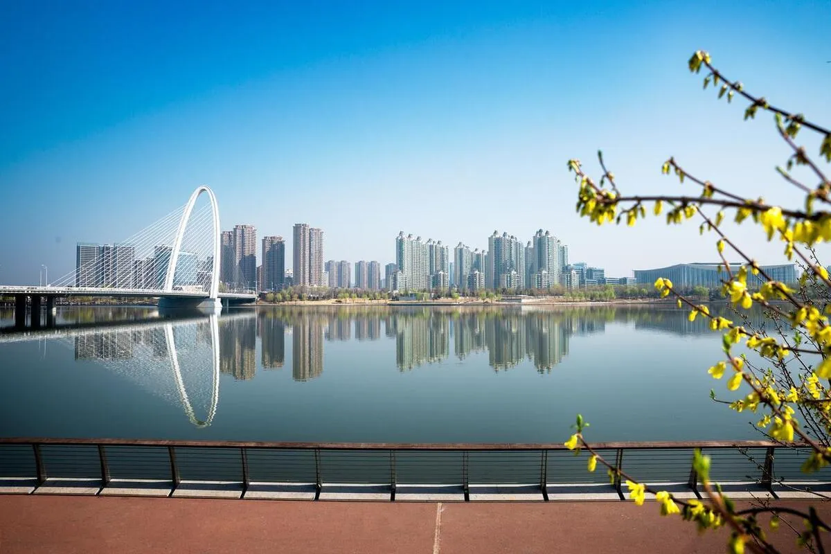 鸟语花香生肖探秘插图