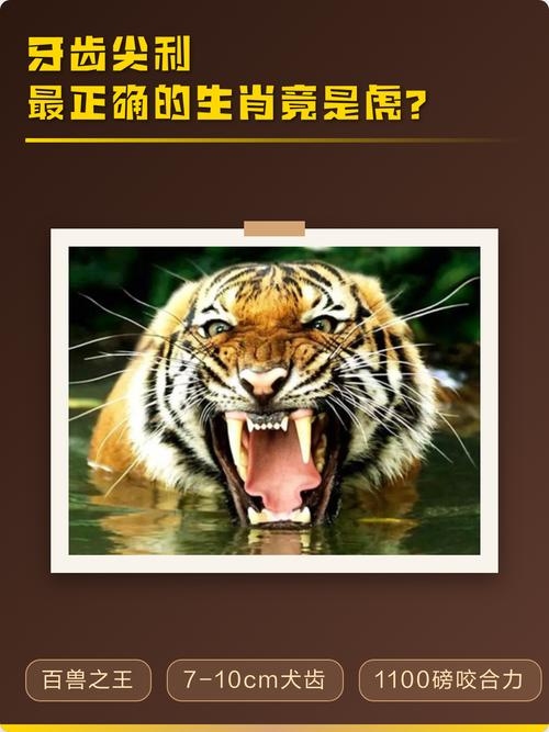 尖牙利齿的生肖—虎插图 尖牙利齿的生肖—虎插图