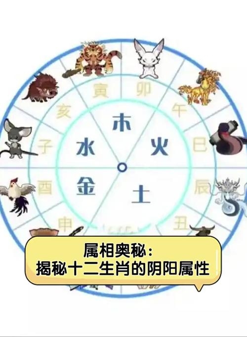 骄阳似火生肖解析插图