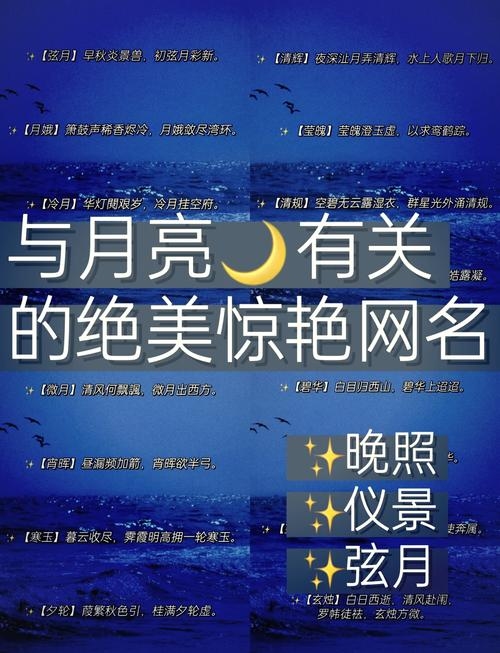 星月相随,浪漫情侣网名,共绘余生梦童话插图 星月相随,浪漫情侣网名,共绘余生梦童话插图