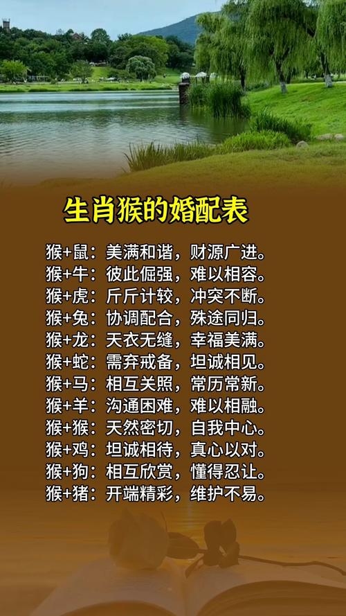 猴与属相最佳配搭插图 猴与属相最佳配搭插图