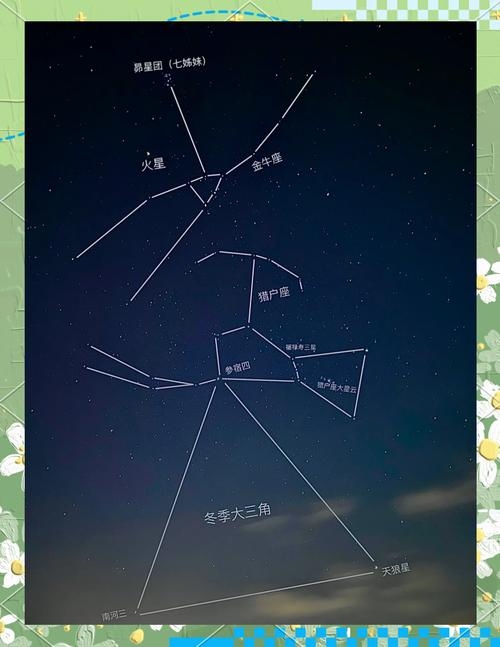 腊月，探照星辰的星座密码插图