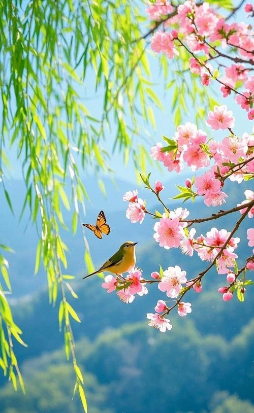 4月30日，春天的脚步与美好时刻插图