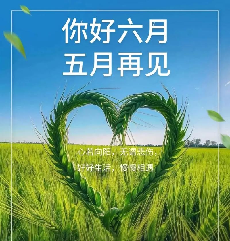 6月17日，夏日初见的日子插图