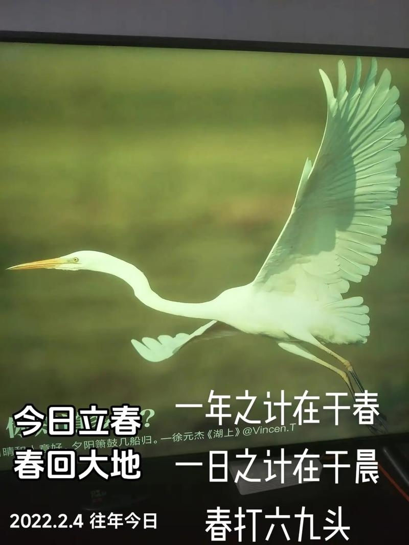 3月21日，春天的序曲插图