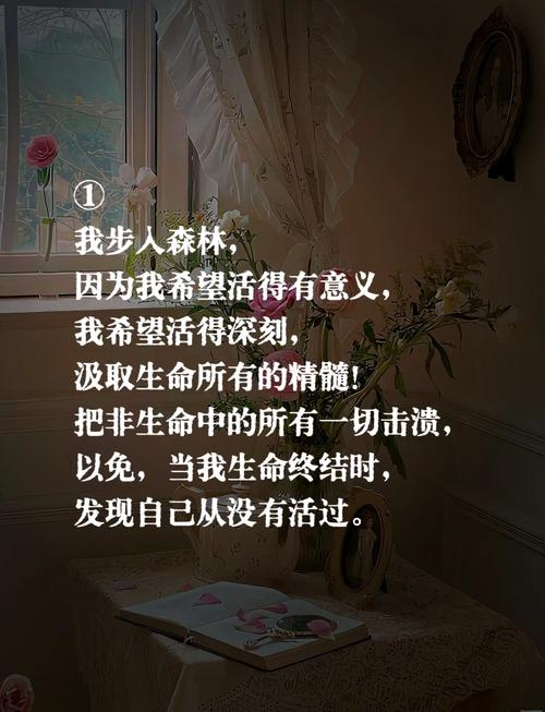 诗意微信名，爱与自由之歌插图