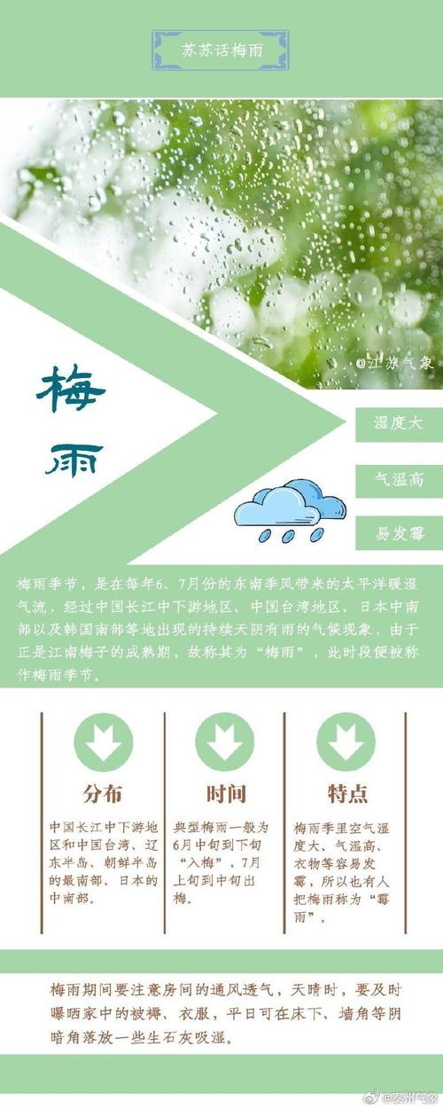 梅雨中的梅字含义解析插图