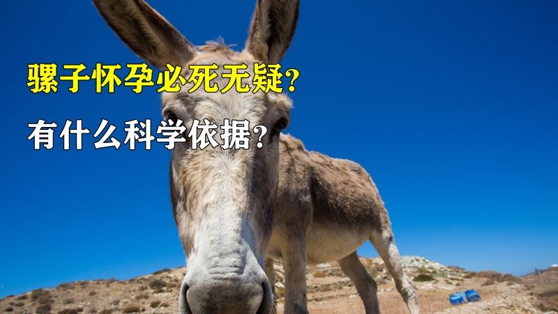 痦子的位置与命运插图