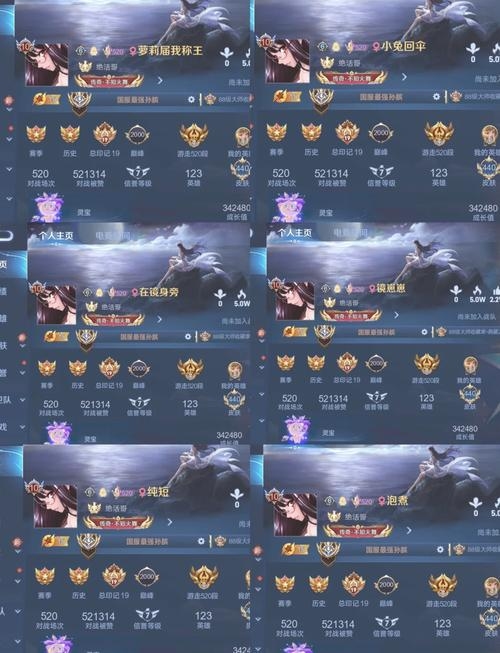 霸者风范,四字昵称的王者之路插图 霸者风范,四字昵称的王者之路插图