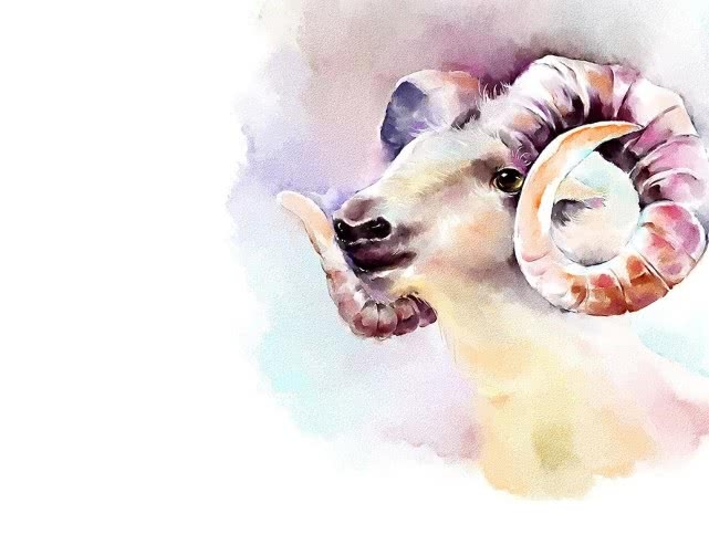 躲在角落不见人的生肖插图