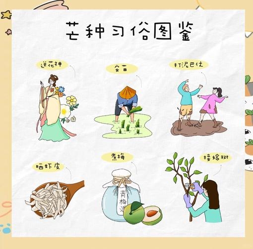 芒种节气，传统习俗的丰富多彩插图