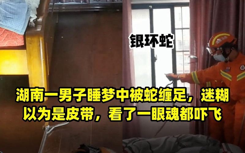 男子梦中惊现蛇缠足之谜插图 男子梦中惊现蛇缠足之谜插图