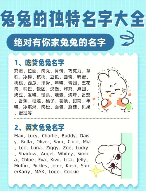 兔子名字的种类与称呼插图