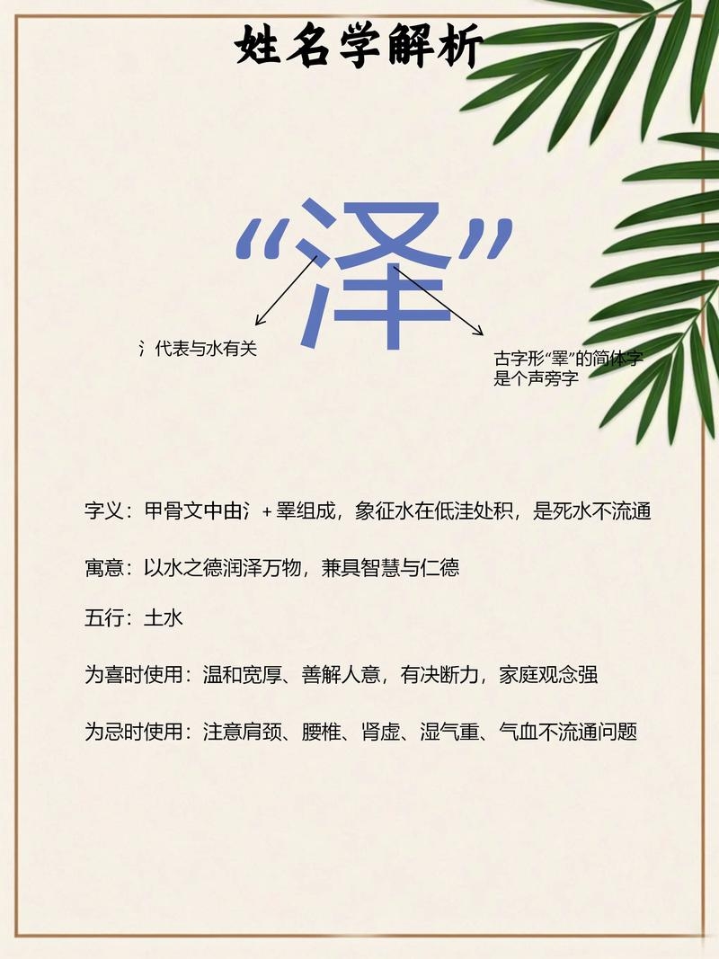 泽字取名男孩寓意插图