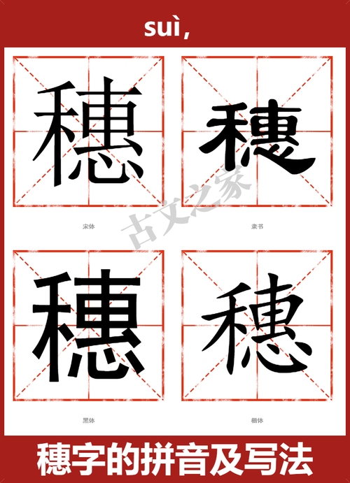 穗怎么读拼音，探寻穗字的正确发音插图