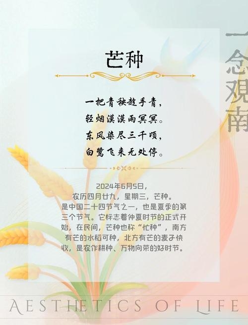 芒种，古老智慧中的自然馈赠与季节转化密码插图