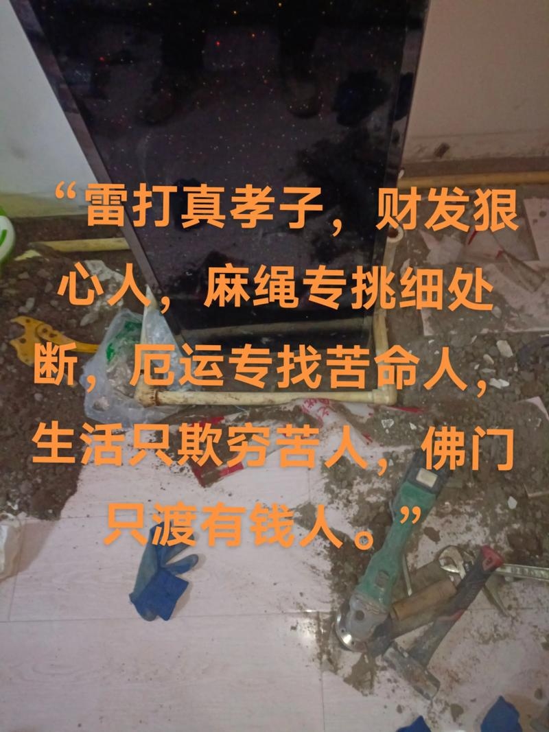 雷子是什么意思？揭秘网络流行语背后的故事插图