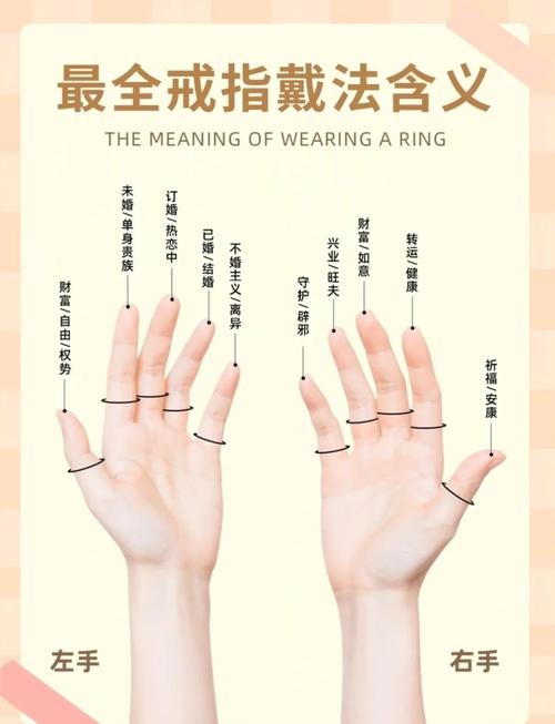 小指形态揭示子女、社交与财富运插图