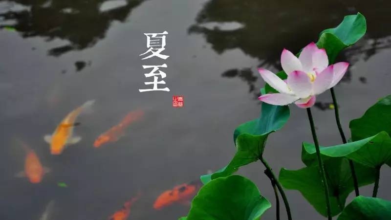夏至与入伏,初识与初探插图 夏至与入伏,初识与初探插图