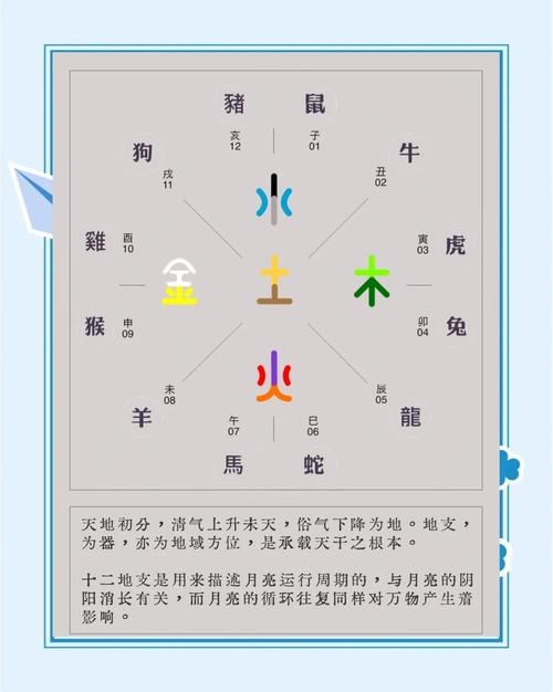 夏至与特马，生肖之神秘关联插图