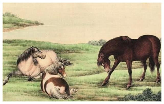 框子与特马，揭秘生肖之谜插图