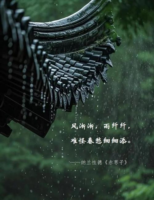 雨打灯笼——诗词中的自然意象，蕴含的诗意与力量插图