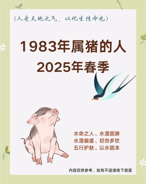 因地制宜，智慧生肖—猪插图