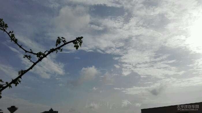 雨过天晴—揭示生肖之谜插图