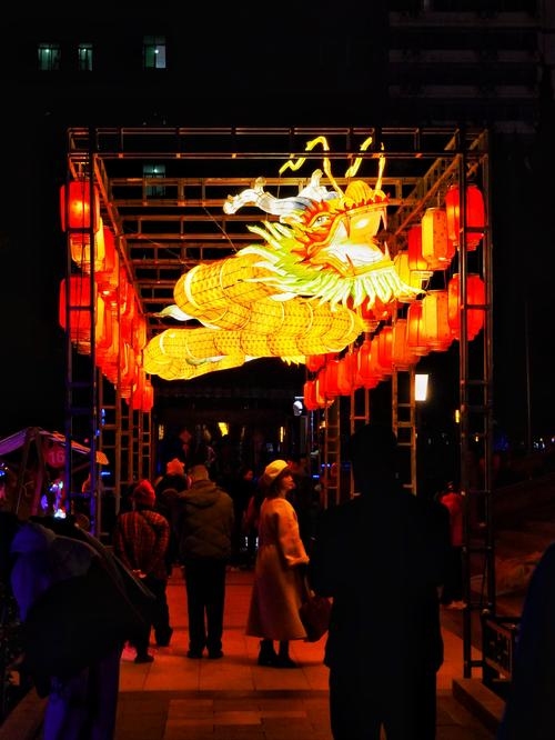 眼花缭乱，龙舞其中插图