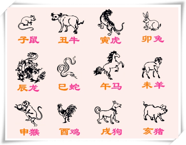 义结金兰与生肖的奇妙缘分—揭秘代表生肖的义结象征插图