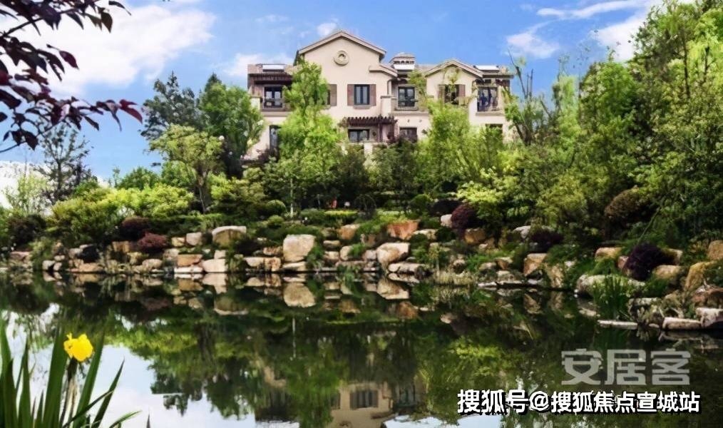 有机ZZ无法查看的原因及解决方法插图