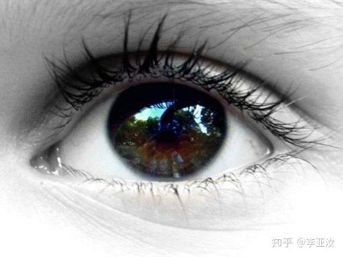 眼皮跳的预兆，科学解析与文化解读插图