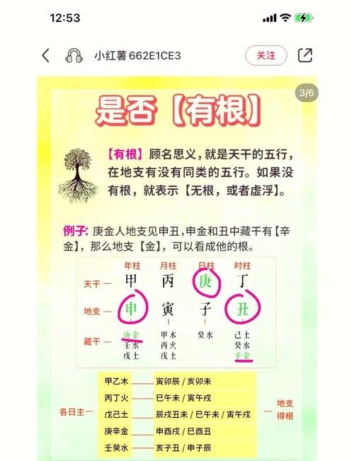 一图解读你的八字命运插图