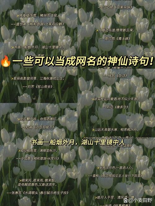 有味道的网名，让文字触手可及的诗意插图